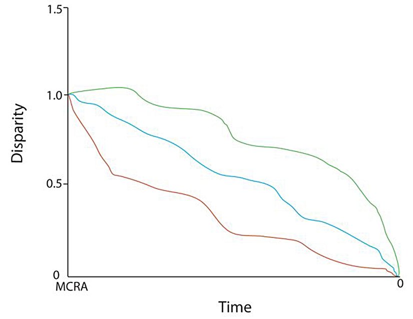 Görsel 3: Zaman içerisindeki biçimsel farklılaşma. Mavi çizgi aynı tür içerisindeki boş dağılımı, yeşil çizgi aynı tür boyunca dağılım gösteren farklılaşmayı, kırmızı çizgi ise ekolojik fırsat gereği farklılaşmaya işaret eden düşük alt tür başkalaşma modelini göstermektedir.