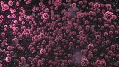 SARS-CoV-2 Artık Çok Daha Hızlı Evrimleşiyor ve Bu, Salgınla İlgili En Büyük Problem: Virüs, İnsan Toplumunda Kalıcı Hale Gelebilir!