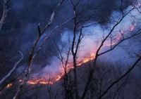 Wildfire creeps close to homes; Fire damages 460 acres since Saturday | Times News Online