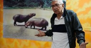 Colombian Artists Reimagine Escobar’s Hippos In Bold Exhibit