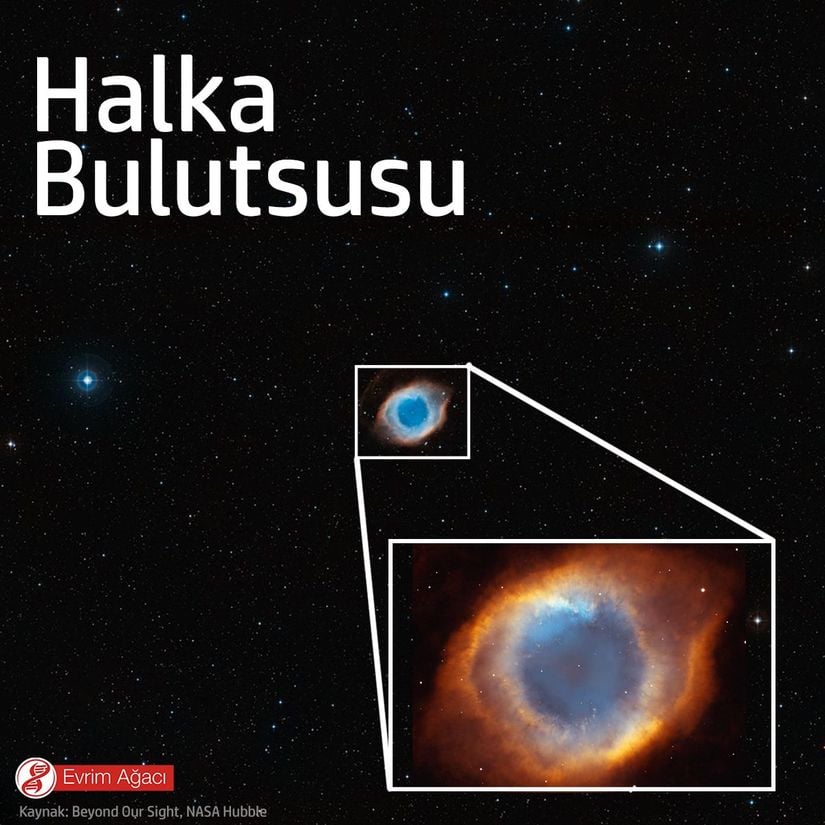 Halka Nebulası (Messier 57, M57 ya da NGC 6720 katalog numaralarıyla bilinir), Çalgı (Lyra) takımyıldızında bulunan bir gezegensel bulutsudur. Bu tip gök cisimleri, kırmızı dev yıldızlarda bulunan iyonize olmuş gazın dış kısmının etrafta bulunan yıldızlararası ortama saçılmasıyla oluşur. Bu yıldızlar, yaşam döngülerinin son evrelerindedirler ve nihayetinde beyaz cücelere evrimleşirler. Halka nebulası ilk olarak 1779 yılında Charles Messier tarafından keşfedilmiştir. Onunla neredeyse eş zamanlı olaraksa Antoine Darquier de Pellepoix tarafından. Darquier, nebulayı