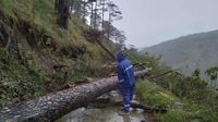 3 dead, several injured in Cordillera landslides triggered by Uwan