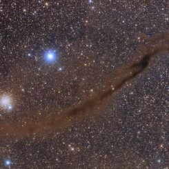 NGC 4372 and the Dark Doodad