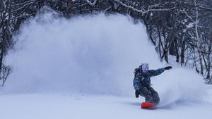 Major Snowstorm Disrupts Life Across Eastern Japan