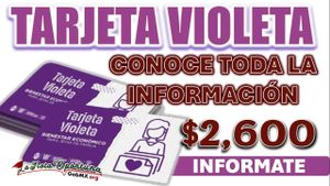 Guerrero Launches Tarjeta Violeta Program To Aid Vulnerable Women