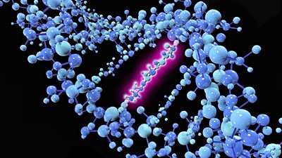 Kuantum Seğirme: Mutasyonlar, Sandığımız Kadar Rastgele Olmayabilir!