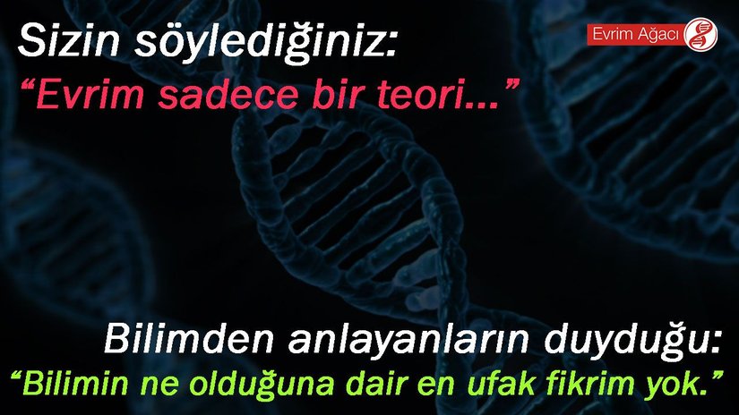 Heç vaxt unutmayın: Elm və ya kainat haqqında bir şey başa düşmədiyiniz, anlamadığınız o şeyin gerçək olmadığı mənasına gəlmir. Bu o deməkdir ki, siz bu mövzudan xəbərsizsizsiniz. Buna görə də, hələ ən təməl elmi terminologiya ilə bağlı biliklərdən xəbərsizsinizsə, Təkamül nəzəriyyəsi, Kvant nəzəriyyəsi, Big Bang nəzəriyyəsi və s. Kimi nəhəng nəzəriyyələri və detallı elmi nəzəriyyələri cılızlaşdırmağa çalışdığınız zaman, elmi deyil, öz intellektual varlığınızı ayaqlar altına almış olurunuz. Etməyin.