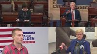 All Maine members of Congress catch heat from constituents as groups organize town halls