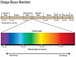 Eğer siyah tüm Dalgaboylarını emiyorsa, gözümüze hiçbir ışığın ulaşmaması ve bu durumda siyah olan şeyleri göremememiz gerekmez mi?
