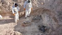 Iraq begins excavation of Al-Khasfa mass grave in Nineveh