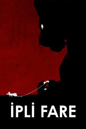 İpli Fare