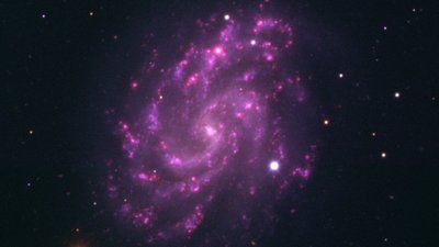 XENON1T Deneyi, Karanlık Enerjiyi Nihayet Tespit Etmiş Olabilir!