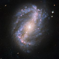 Barred Spiral Galaxy NGC 6217