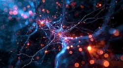 Nöron Kodlama Nedir?