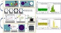 Online high speed detection method for end face quality of cored filter rods under complex conditions - Scientific Reports