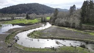 Yurok Tribe Reclaims Land Near Redwood National Park