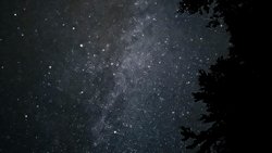 yardımcı olur musunuz?