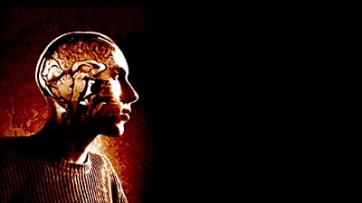 Gelecekte Beyninize Matrix'teki Gibi Bilgi Yüklemeniz Mümkün Olabilir mi?