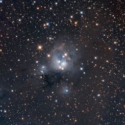 Young Suns of NGC 7129