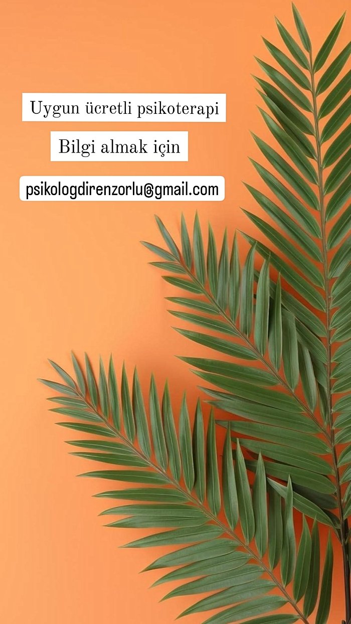 Uygun Ücretli Psikoterapi-Uzm. Klinik Psikolog Diren Zorlu