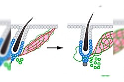 İnsanlar kıllarından bir daha çıkmayacak şekilde kurtulabilirler mi?