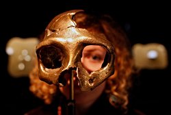 17. Yüzyıl Beyinlerinde Kokain İzleri Bulundu.