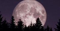 Cuándo es la Luna llena de abril 2025