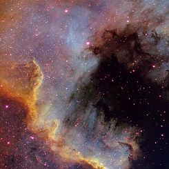 The Cygnus Wall of Star Formation