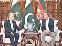 Iran offers Pakistan diplomatic 'blank cheque' | The Express Tribune