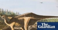 New species of dinosaur with ‘eye-catching sail’ discovered on Isle of Wight
