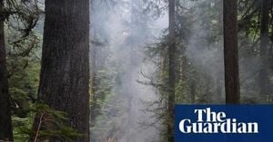 Firefighters Battle To Save Oregon’s Historic Doerner Fir