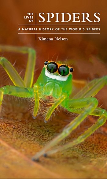 The Lives of Spiders