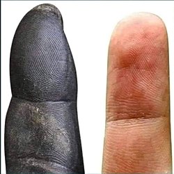 İnsanların tırnakları ve saçları sürekli uzarken, neden maymunlarınki bir noktadan sonra uzamıyor?