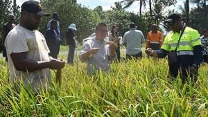 Minister Duy Addresses Challenges Facing Rice Producers