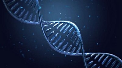 Varyasyon (Çeşitlilik), Adaptasyon, Evrim ve Biyoçeşitlilik Arasındaki İlişki Nedir?