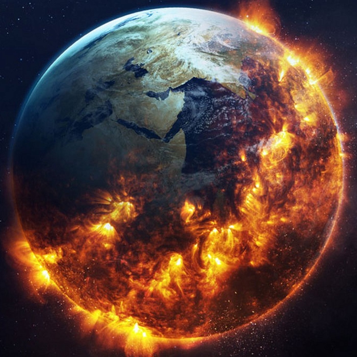 Evrim Ağacı ile Bilime Dair Her Şey!