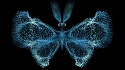 Kaos Teorisi Nedir? Doğadaki Kaostan Söz Ederken Neyi Kastediyoruz?