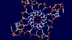 Dörtlü Sarmal (Heliks) DNA:  İnsan Genomunda Bulunan İlginç DNA Formu!