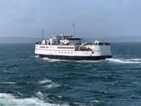 Half of Vineyard select boards support SSA term limits - The Martha's Vineyard Times