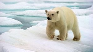 Russian North And Arctic Attract 3 Million Tourists