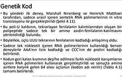 Amino asitlerin yapısı nasıl öğreniliyor?