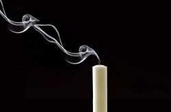 Evrim Ağacı'na Yönelik Karalama Kampanyası İle İlgili Açıklama