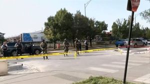 Federal Agents Shoot Armed Woman After Chicago Car Attack