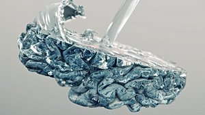 Su Dolu Beyin: Su, Beynimiz İçin Neden Önemli?