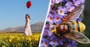 May 3 Celebrates Culture, Remembrance, And Freedom