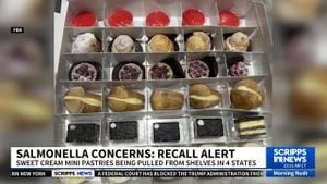 Salmonella Recall Of Sweet Cream Desserts Sparks Health Alerts