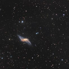 Polar Ring Galaxy NGC 660