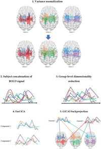 Resting state connectivity patterns associated with trait anxiety in adolescence - Scientific Reports