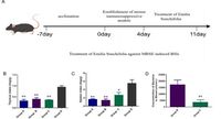 Emilia sonchifolia (L.) DC. inhibits the growth of Methicillin-Resistant Staphylococcus epidermidis by modulating its physiology through multiple mechanisms - Scientific Reports
