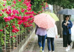 Rainy Weather Expected Across South Korea This Saturday